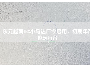 東元越南IE3小馬達(dá)廠今啟用，初期年產(chǎn)能20萬(wàn)臺(tái)