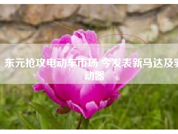 東元搶攻電動車市場 今發(fā)表新馬達及驅動器