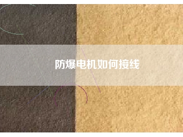 防爆電機如何接線