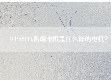 DIPA21T4防爆電機(jī)是什么樣的電機(jī)？