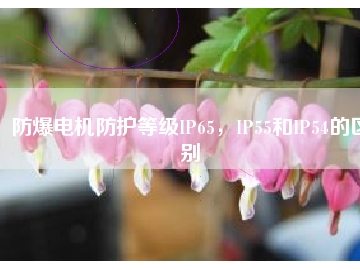 防爆電機(jī)防護(hù)等級IP65，IP55和IP54的區(qū)別
