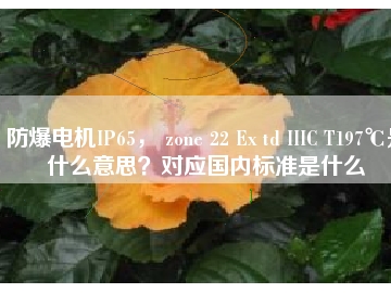 防爆電機(jī)IP65， zone 22 Ex td IIIC T197℃是什么意思？對應(yīng)國內(nèi)標(biāo)準(zhǔn)是什么