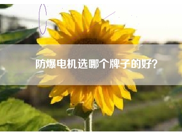 防爆電機(jī)選哪個(gè)牌子的好？