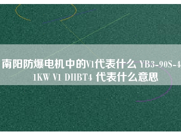 南陽防爆電機中的V1代表什么 YB3-90S-4 1.1KW V1 DIIBT4 代表什么意思