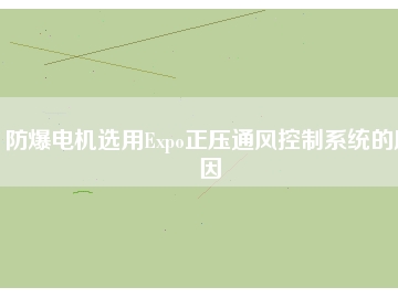 防爆電機(jī)選用Expo正壓通風(fēng)控制系統(tǒng)的原因