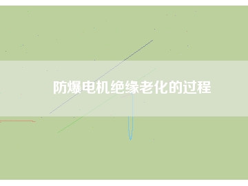 防爆電機(jī)絕緣老化的過程