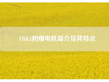 YBK2防爆電機(jī)簡介及其特點(diǎn)