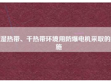 濕熱帶、干熱帶環(huán)境用防爆電機采取的措施