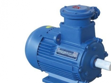 目前變頻低壓電機(jī)還存在哪些問題？