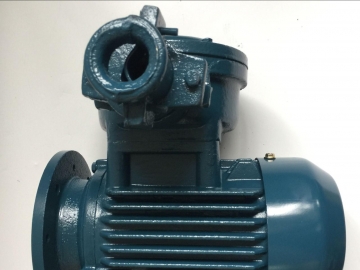 怎么選對(duì)粉塵防爆電機(jī)？