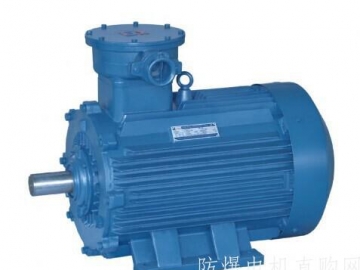 防爆電機的密封結構在安裝使用中要注意哪些？