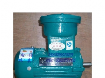 防爆電機啟動方法都有哪幾種