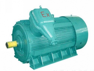 防爆電機(jī)在日常檢修中，一定要知道這五個(gè)方面