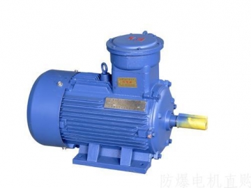 防爆電機(jī)在啟動(dòng)時(shí)都需要注意些什么