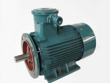 防爆電機(jī)驗(yàn)收時(shí)除了銘牌外，還要注意哪些？