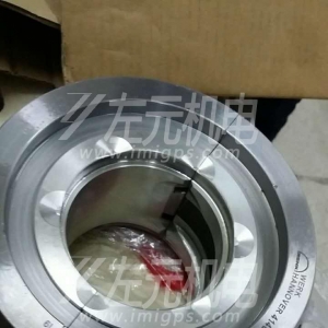 EFZLB 11-110,EFZLB 9-80電機軸瓦，油封及油環(huán)應(yīng)用于化工行業(yè)電機