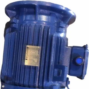 AEUV5N超超高效三相異步電機(jī)（MODEL:TEV5）