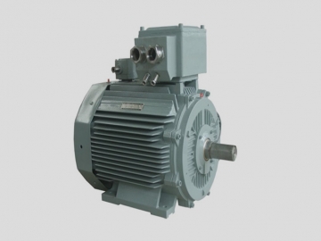 低壓超高效IE5三相異步電動(dòng)機(jī)