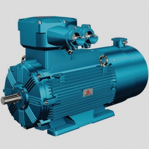 低壓變頻調(diào)速三相異步電動(dòng)機(jī)