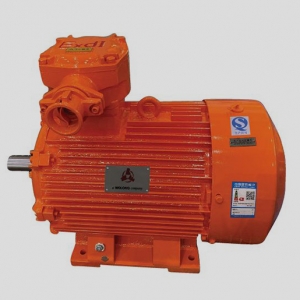 低壓煤礦井下用隔爆型三相異步電動(dòng)機(jī)