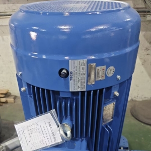 炎炎夏日，您的電機(jī)系統(tǒng)是否正在經(jīng)受“烤”驗(yàn)？