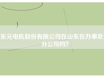 東元電機股份有限公司在山東在辦事處或分公司嗎？