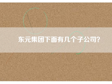 東元集團下面有幾個子公司？