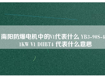 南陽防爆電機中的V1代表什么 YB3-90S-4 1.1KW V1 DIIBT4 代表什么意思