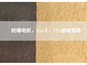 防爆電機，ExdⅡ，CT4是啥意思