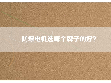 防爆電機選哪個牌子的好？