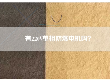 有220V單相防爆電機(jī)嗎？