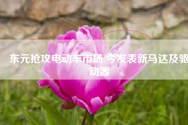 東元搶攻電動(dòng)車市場(chǎng) 今發(fā)表新馬達(dá)及驅(qū)動(dòng)器