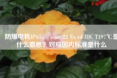 防爆電機(jī)IP65， zone 22 Ex td IIIC T197℃是什么意思？對應(yīng)國內(nèi)標(biāo)準(zhǔn)是什么