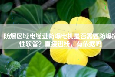 防爆區(qū)域電纜進(jìn)防爆電機(jī)是否需要防爆撓性軟管？直接進(jìn)線，有依據(jù)嗎