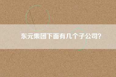 東元集團(tuán)下面有幾個(gè)子公司？