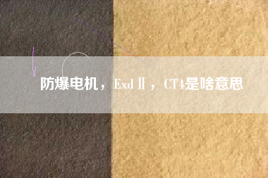 防爆電機(jī)，ExdⅡ，CT4是啥意思