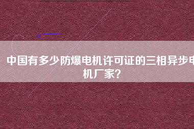 中國有多少防爆電機(jī)許可證的三相異步電機(jī)廠家？