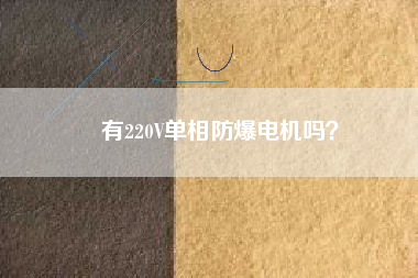 有220V單相防爆電機(jī)嗎？