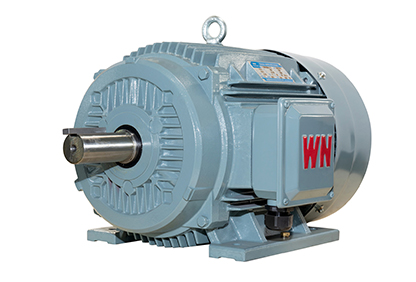 TYCP2系列三相變頻驅(qū)動(dòng)永磁同步電動(dòng)機(jī)